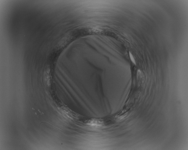 X0000073860223200609071641