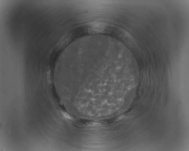 X0000073860224200609071641