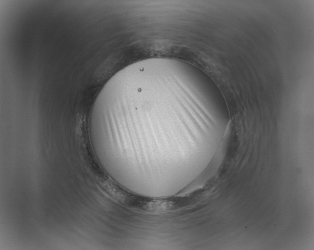 X0000073860225200609071641