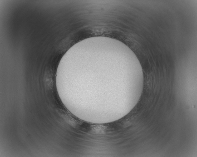 X0000073860226200609071641