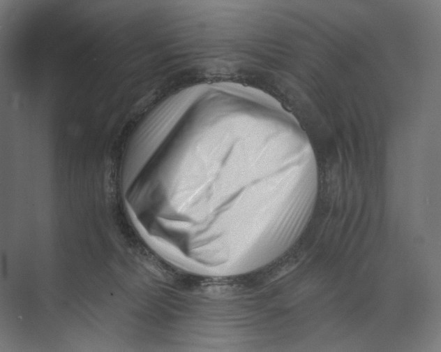 X0000073860228200609071641