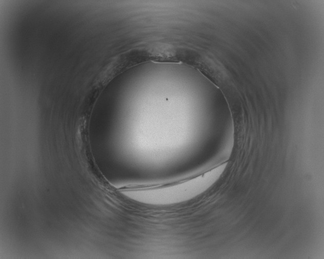 X0000073860229200609071641