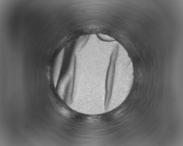 X0000073860232200609071641