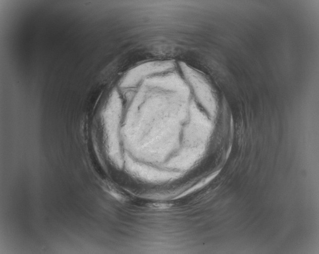 X0000073860233200609071641