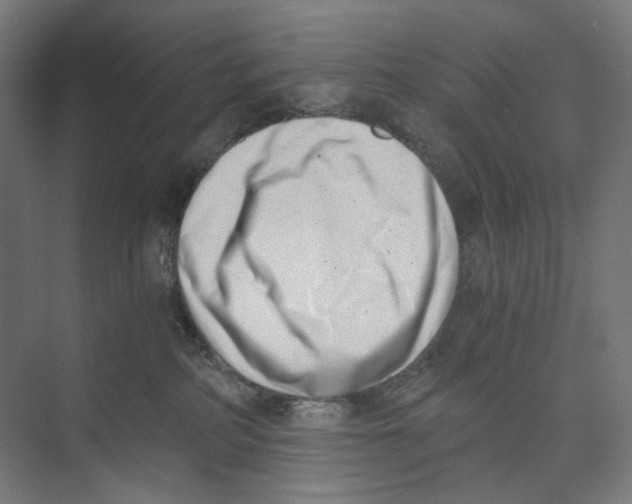 X0000073860234200609071641