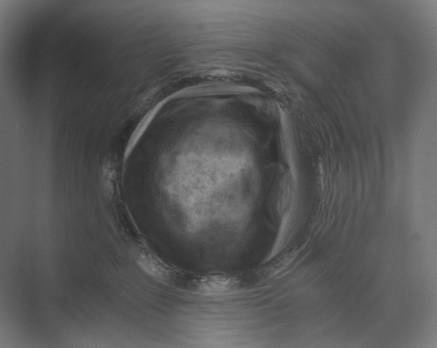 X0000073860235200609071641