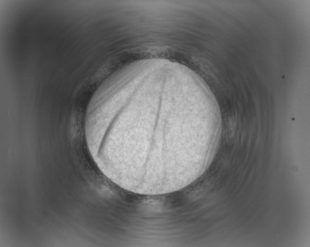 X0000073860236200609071641