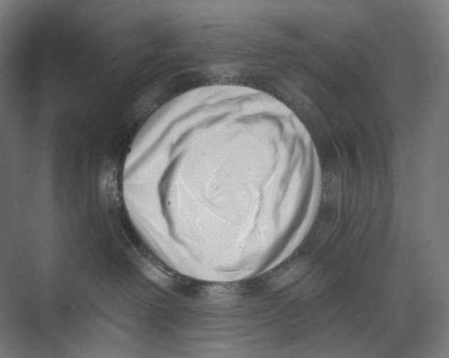 X0000073860238200609071641