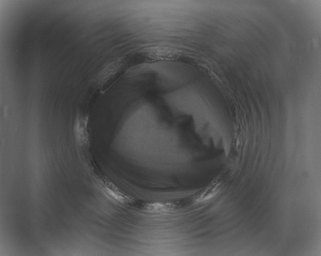 X0000073860239200609071641