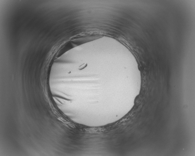 X0000073860241200609071640