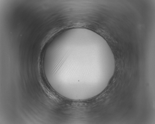 X0000073860242200609071640