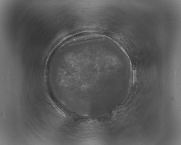 X0000073860243200609071640