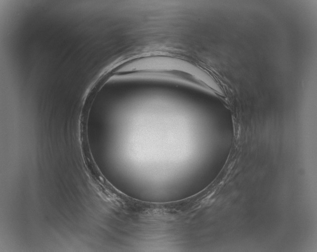 X0000073860244200609071640