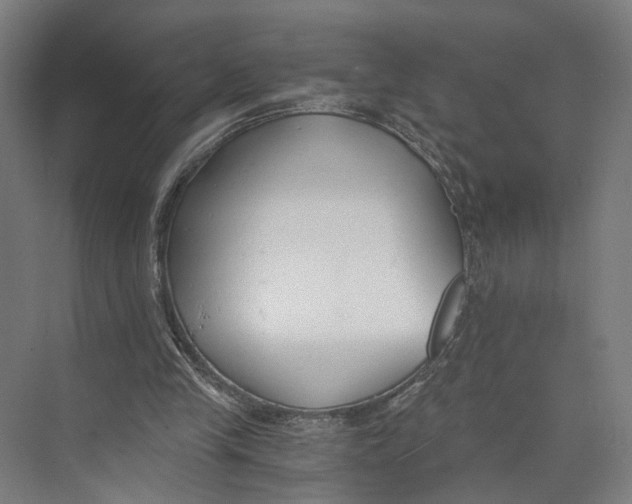 X0000073860245200609071640