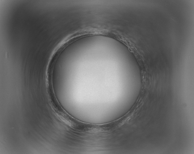 X0000073860246200609071640