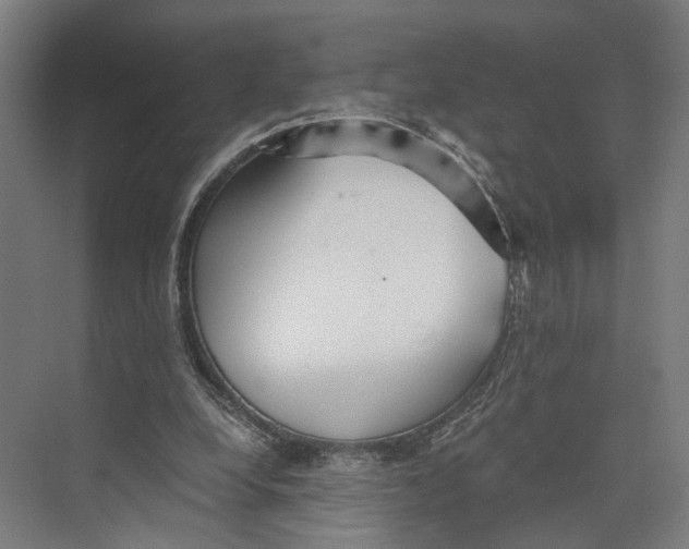 X0000073860248200609071640