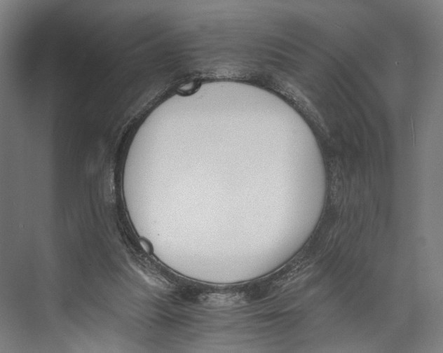 X0000073860251200609071640