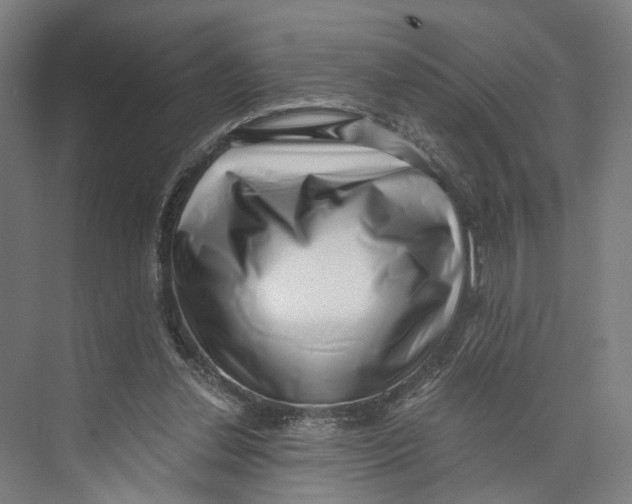 X0000073860252200609071640