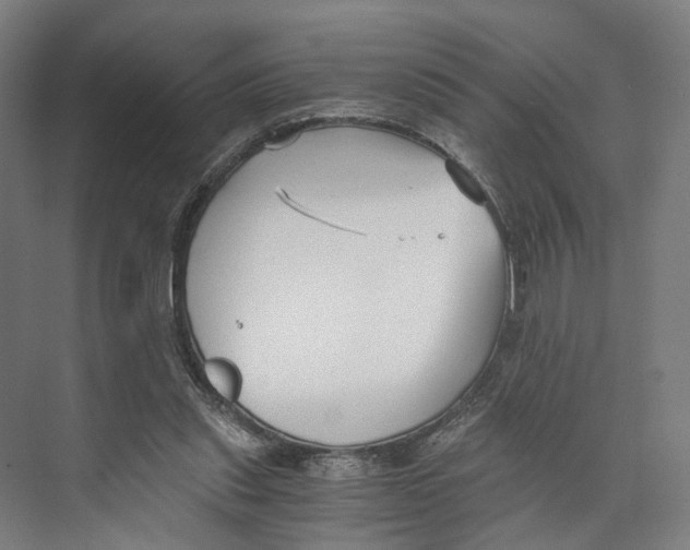 X0000073860253200609071640