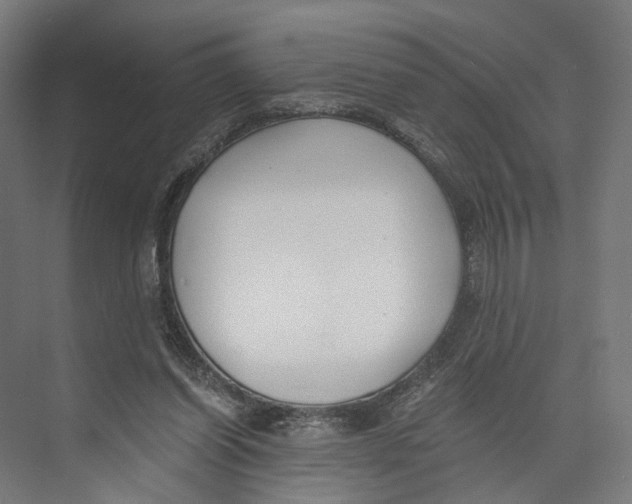 X0000073860254200609071640