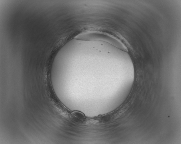 X0000073860257200609071640