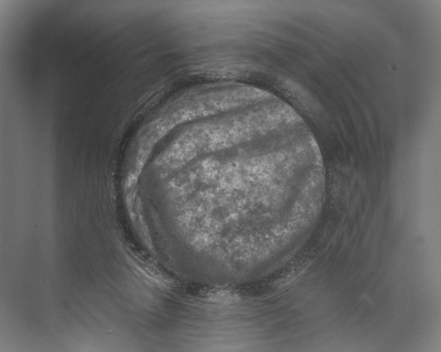 X0000073860258200609071640