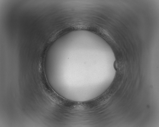 X0000073860259200609071640