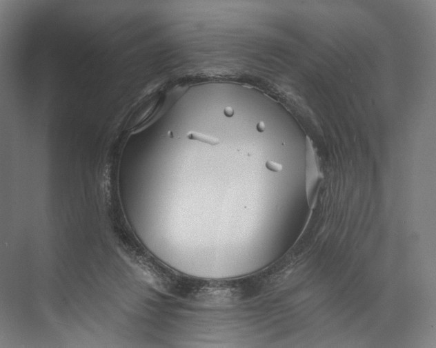 X0000073860260200609071641