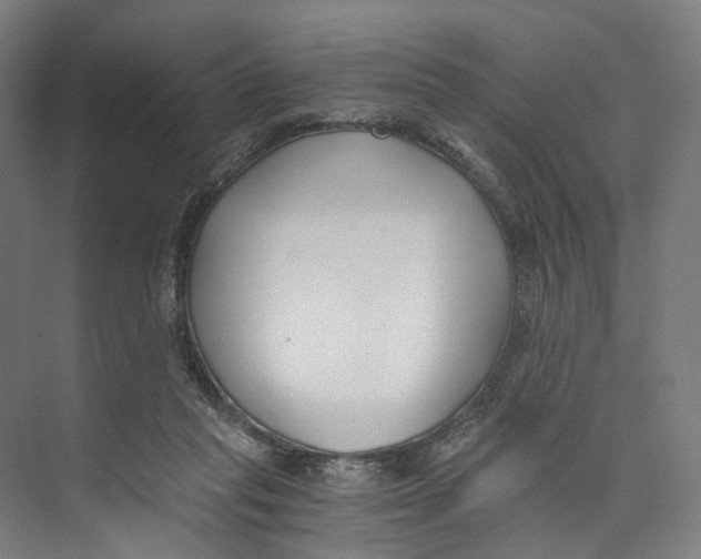 X0000073860261200609071641