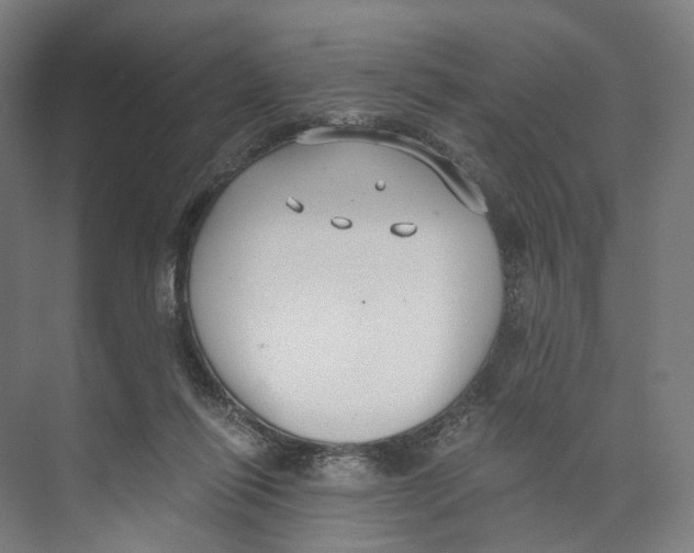 X0000073860262200609071641