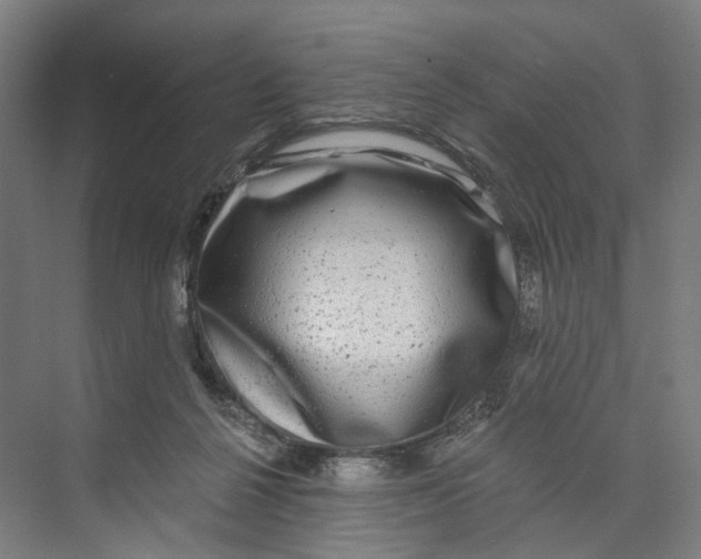 X0000073860264200609071641