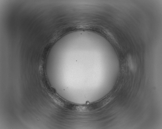 X0000073860265200609071641