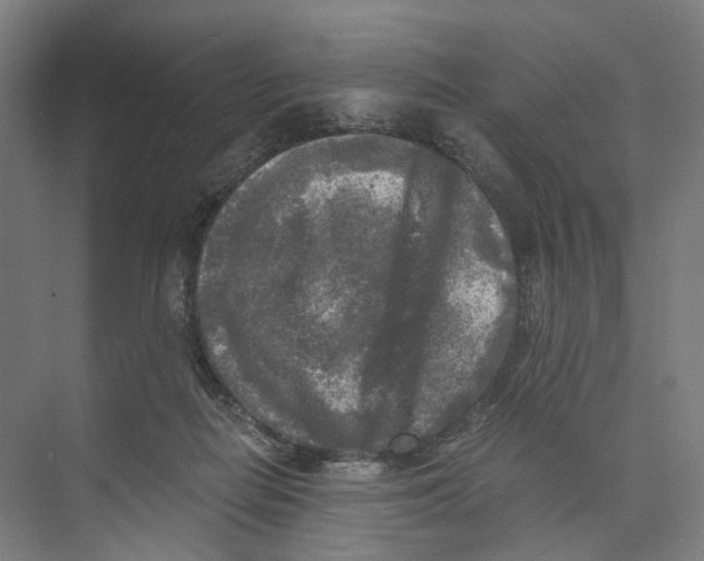 X0000073860266200609071641