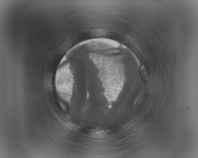 X0000073860267200609071641