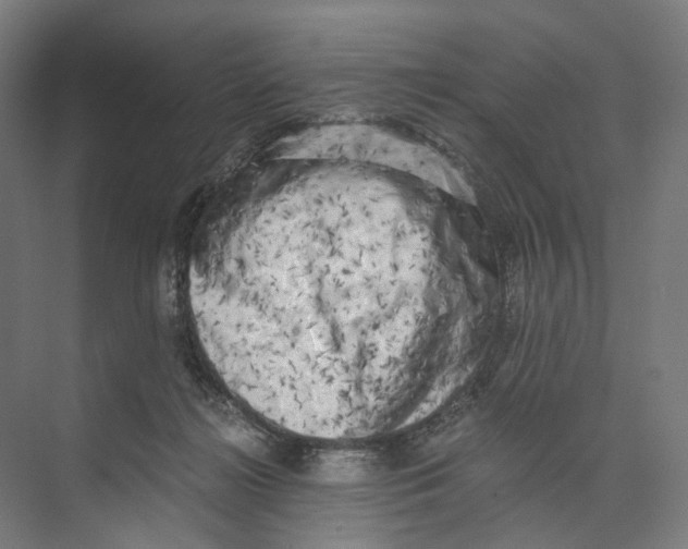 X0000073860268200609071641