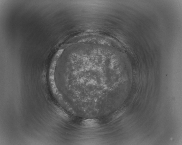 X0000073860269200609071641