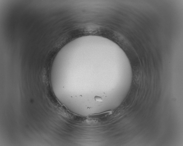 X0000073860270200609071641