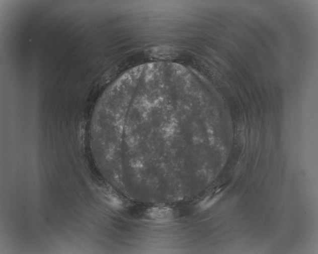 X0000073860271200609071641