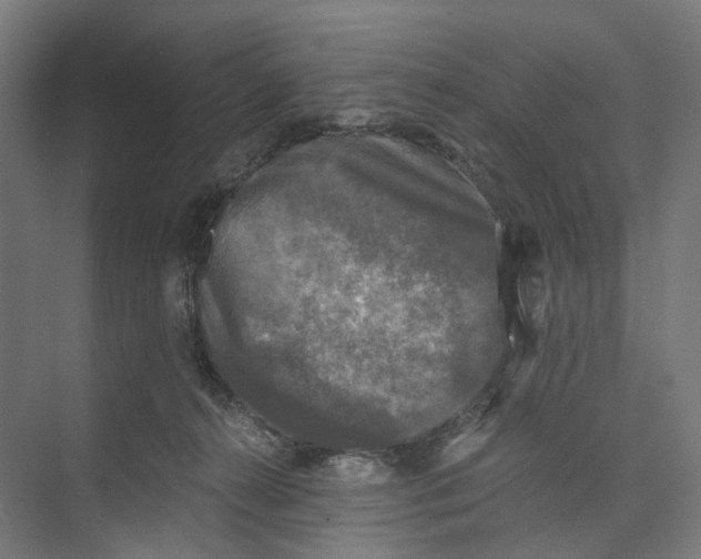 X0000073860272200609071641