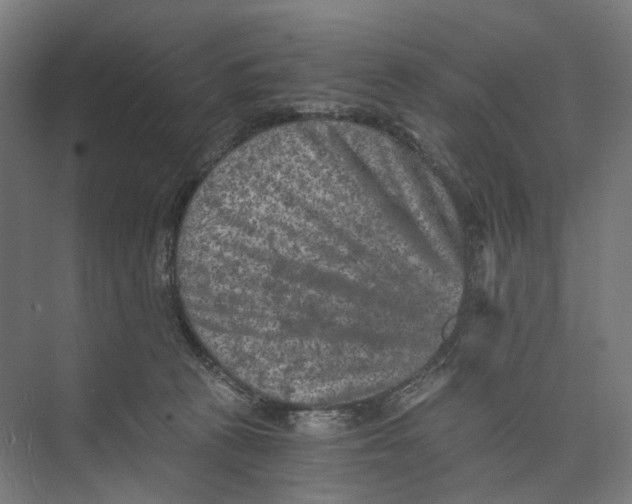 X0000073860273200609071641