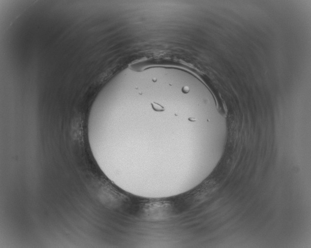 X0000073860274200609071641