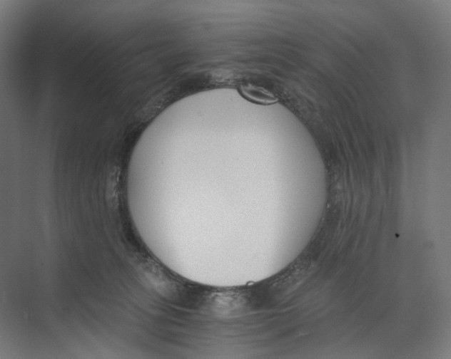 X0000073860275200609071641