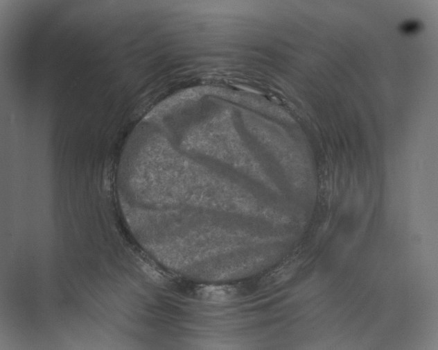 X0000073860277200609071641