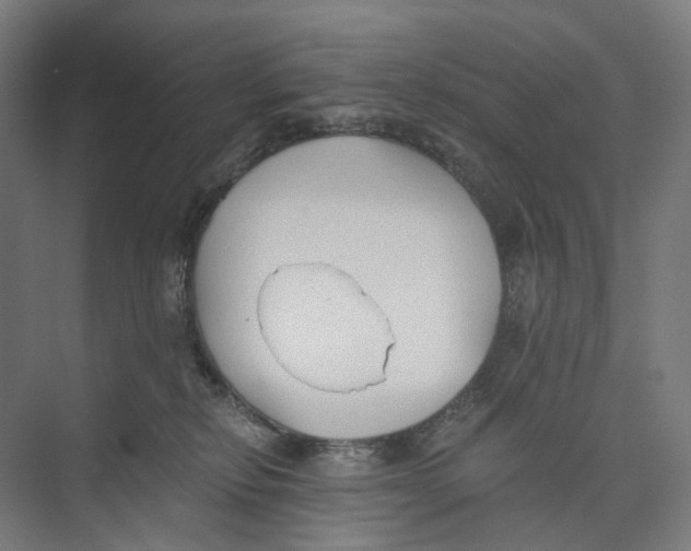 X0000073860278200609071641