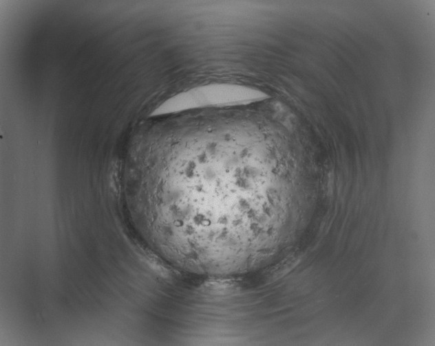 X0000073860280200609071641