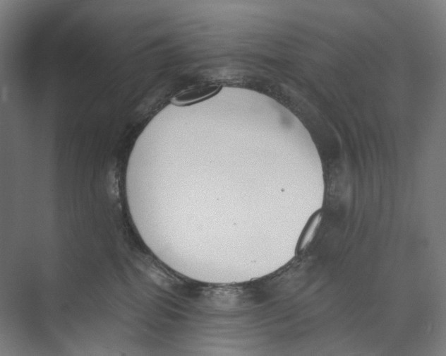 X0000073860282200609071641