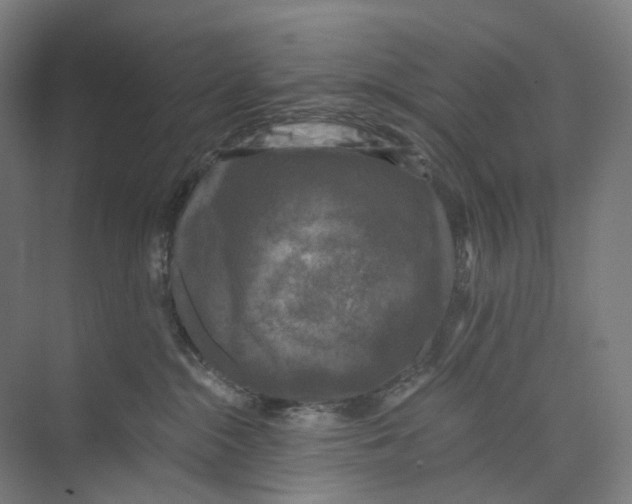 X0000073860284200609071641