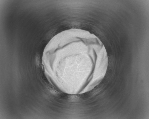 X0000073860287200609071641