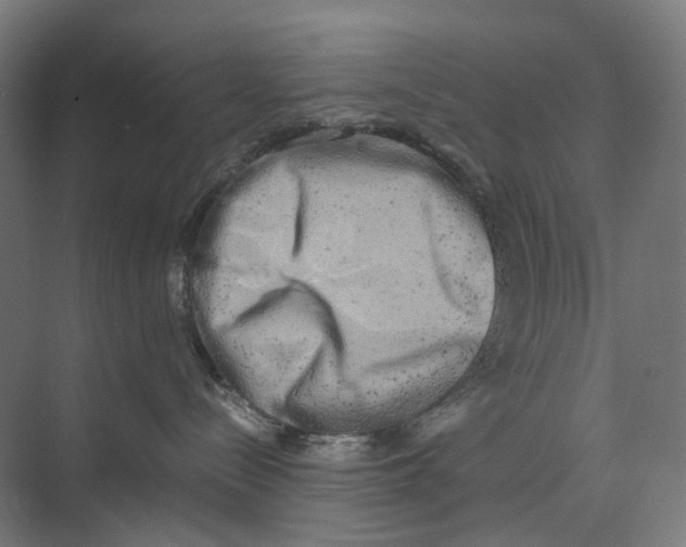 X0000073860288200609071641