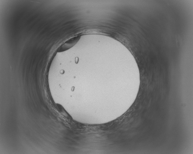 X0000073860289200609071640